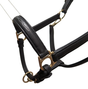 Harnais de cheval anatomique rembourré en cuir souple de haute qualité, écologique, avec boucle en laiton et sangle de nez à surpiqûres fantaisie, pour la compétition et l'exportation - Product Image 2
