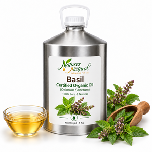 Huile Essentielle de Basilic Biologique Certifiée, Huile Naturelle Aromatique d'Ocimum sanctum pour Cosmétiques, Aromathérapie et Soins Personnels, Fournisseur en Gros - Product Image 4