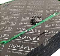 Panneaux de contreplaqué 2026 pour coffrage, feuilles de contreplaqué 4x8 pour les constructeurs, écologiques, pour la construction commerciale
