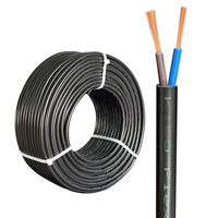 Câble RVV 2*2.5mm² souple en cuivre nu multibrin isolé PVC, 300V, bobine de 100 yards, IP65, pour installation souterraine