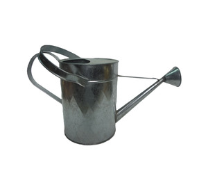 Arrosoir artisanal personnalisé à double poignée avec design rustique décoratif pour l'aménagement de jardin - Product Image 1