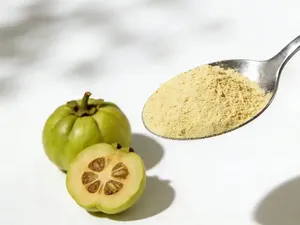 Extracto de Garcinia Kola en Polvo Herbal 50, 60 y 70% HCA, Apoya el Control de Peso y un Metabolismo Saludable, Exportación de India Bilk - Product Image 4