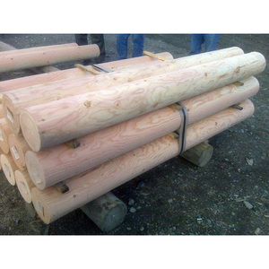 Troncos de Madera Blanda de Alta Calidad, Postes de Madera Sólida Duraderos, Perfectos para Postes de Alimentación, Cercas Agrícolas y Aplicaciones Industriales - Product Image 4