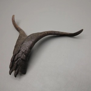 Pares de Cuernos de Cabra Naturales, Acabado Rústico Ecológico, Nueva Colección de Alta Calidad para Decoración y Manualidades - Product Image 6