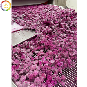 Dragon Fruit Congelé IQF de 1ère Qualité, Demi-Cubes, Dés et Tranches Sucrés, Emballés Sous Vide, Fruits Tropicaux, Vente en Gros Directe Usine - Product Image 6