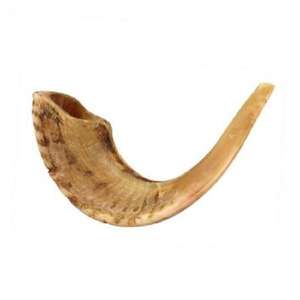 Shofar de Cuerno de Carnero Ecológico Completamente Pulido de Israel, Hecho a Mano, de Alta Calidad, Kosher, Judío, con Diseño Tradicional - Product Image 1