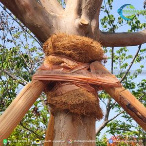 Cinta de Fibra de Coco para Jardín, Alternativa Natural a las Ataduras de Plástico, con Alta Calidad y Buen Precio - Product Image 3