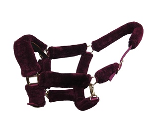 Cabestro de nailon para caballo con acolchado suave, accesorios duraderos para uso ecuestre occidental. - Product Image 1