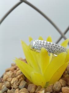 Anillo de Compromiso Más Vendido, Diamante Moissanita en Forma de Corazón, Joyería Elegante y de Lujo para Mujer, Disponible para la Venta - Product Image 2