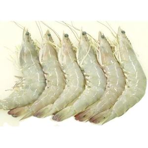 กุ้งดิบแช่แข็งคุณภาพสูง ผลิตจากโรงงานโดยตรง - Product Image 1