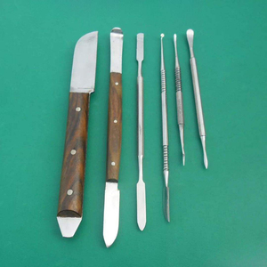 Juego de instrumentos manuales de acero inoxidable plateado para encerado dental, certificado CE, instrumentos quirúrgicos dentales de clase. - Product Image 2