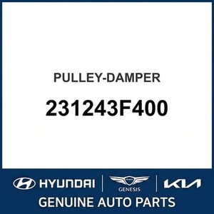 Nouveaux tendeurs et poulies K9 231243F400 - Product Image 1