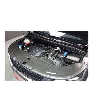 Para Kia Noblesse Carnival de 7 Plazas, Gasolina, Junio 2021, Norma de Emisiones Euro V, Caja de Cambios Automática, Asientos de Cuero, 130.612 km - Product Image 6