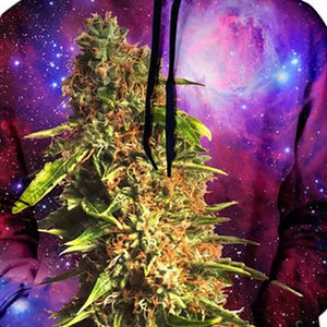 Sweat-shirts pour hommes à sublimation, best-sellers, prix compétitifs, fabriqués au Pakistan, couleurs personnalisées, impression, 100% coton, écologiques - Product Image 6