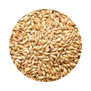 Suministro a granel de cebada para alimentación animal, producida a partir de cultivos con estándares de molienda limpios y empaques flexibles para compradores importadores. - Product Image 5