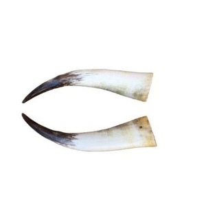 Par de Cuernos de Búfalo Pulidos para Decoración de Pared, Diseño Art Deco, Grandes de 27 a 35 Pulgadas, para Bodas, Cumpleaños, Aniversarios - Product Image 5
