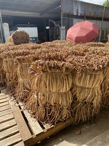 Corde de jacinthe d'eau tressée naturelle écologique du Vietnam pour la décoration intérieure, la fabrication de meubles et l'artisanat - Product Image 3