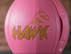 Sac de frappe lourd sur pied HAPK en cuir PU rose, ballon de vitesse, équipement d'entraînement universel pour la boxe à domicile, installation facile - Product Image 2