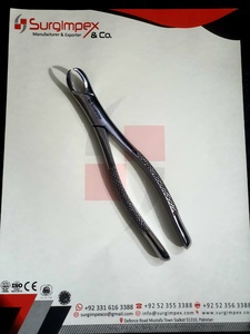 SURGIMPEX FIG 23 Forceps d'extraction dentaire en acier inoxydable, modèle anglais, pour chirurgie buccale professionnelle - Product Image 1