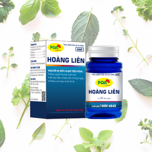 Cápsulas de Gelatina Dura de Regaliz (Angelica Sinensis) con Bajo MOQ, Soporte Inmunológico Natural para Adultos, Salud Gastrointestinal - Product Image 1