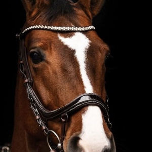 ALR EQUESTRIANS - Brida de Cuero Genuino Hecha a Mano, Duradera, con Diseño de Cocodrilo, Ajuste Cómodo, Personalizable, para Montar a Caballo - Product Image 1