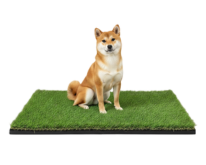 Tapete de Césped Artificial Realista y Suave TH-PAG-611 para Perros, Diseñado para una Fácil Limpieza, Perfecto para Zonas de Entrenamiento en Interiores - Product Image 1