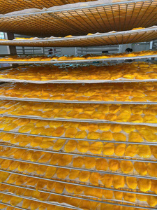 Moist and Tender Sweet Syrup AD Vacuum Pack Bulk <b>Dried</b> <b>Mango</b> From Vietnam Best Quality for Export - Product Image 4