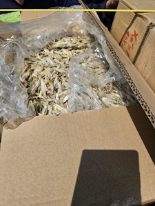 ANCHOIS SÉCHÉS DE HAUTE QUALITÉ/ANCHOIS/ANCHOIS À LA VAPEUR/Mme Lima - Product Image 2