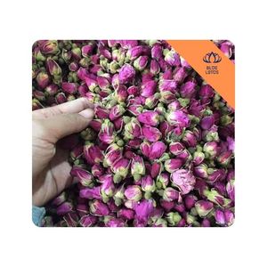 [HOT SELLING] l Dried Rose Bud Tea for Tea Blends Beverage Recipes and Daily Tea Enjoyment Vietnam - Product Image 1