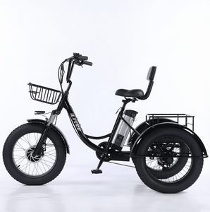Tricycle électrique cargo à assistance au pédalage, pneus neige 20 pouces, batterie lithium 48V, moteur sans balais, frein à disque, 7 vitesses, cadre en acier, moyeu arrière - Product Image 2