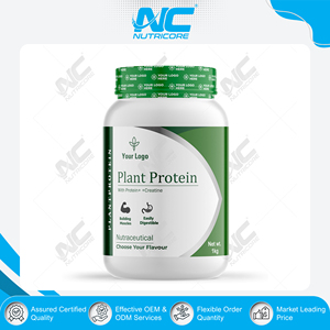 Exportateur indien professionnel, marque privée, poudre de protéines de pois de haute qualité pour des muscles sains, récupération musculaire, usage adulte - Product Image 3