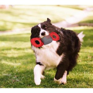 Dura Chew - Giocattolo per Cani Resistente all'Acqua, Peluche Interattivo per Mordere e Tirare, Gioco per Animali Domestici - Product Image 2