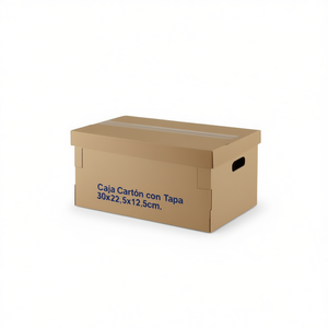 Boîte de rangement en carton 30*22.5*12.5cm avec couvercle CAJA CARTON CON TAPA - Product Image 2