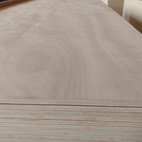 Coeur en contreplaqué d'eucalyptus 4x8 pieds pour la construction de sous-couche de revêtement de sol stratifié, bois multicouche