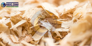 NGOC CHAU Source durable de copeaux de bois de pin séchés en vrac de Ho Chi Minh City pour l'énergie renouvelable - Product Image 3