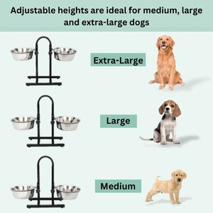 Dual Cat/Dog Bowl with Removable Raised Iron Frame Stainless Steel Pet Feeder Custom Wholesale Pet for Feeding Medium and Large - Product Image 6