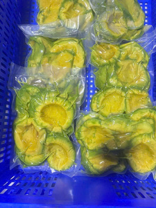 อะโวคาโดแช่แข็งแบบ IQF สดใหม่จากธรรมชาติ ผลไม้เมืองร้อนแช่แข็ง ผู้ผลิตและผู้ส่งออกขายส่ง - Product Image 6