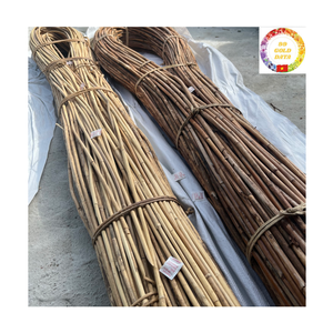 Raw Rattan Poles | Bulk Natural Cane Vietnam Supplier for Furniture <b>Frame</b> & Craft Production - Product Image 2