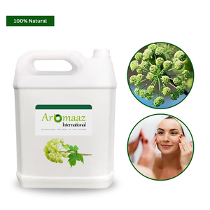 Hydrolat de feuilles d'angélique naturel, fabricant d'hydrolat d'angélique pour l'aromathérapie et les soins de la peau - Product Image 6