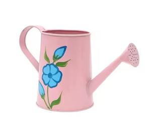 Arrosoir en métal multi-usages, outil d'arrosage de jardin pour herbes, fleurs, légumes - Product Image 2