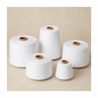 100% Coton Cardé Filé à Anneaux Blanc Blanchi Brut Haute Qualité Absorbant l'Humidité Anti-Boulochage pour Fabricants de Tissus