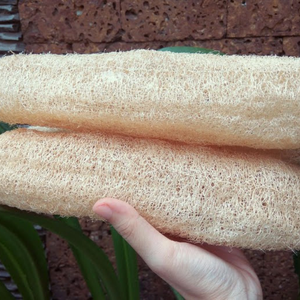 Loofah entier séché du Vietnam de haute qualité pour la fabrication artisanale industrielle et le gommage naturel en gros - 99 Gold Data Co - Product Image 1