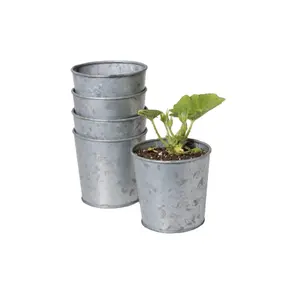 Handmade Galvanized Metal Tin Bucket for Plant Decoration