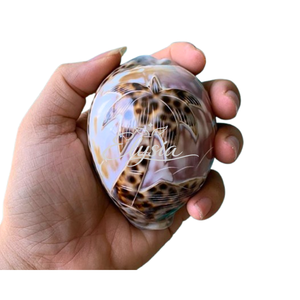 Escultura Artesanal Premium de Concha de Caracol Tigre Grande, Decoración Costera, Recuerdo Coleccionable, Regalo - Product Image 1