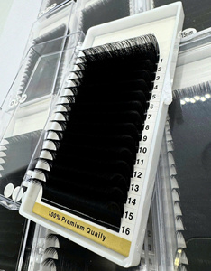 Wholesale Handmade CC/DD Curl <b>Mink</b> Individual <b>Eyelash</b> <b>Extensions</b> Matte Black Tray Soft Volume <b>Eyelash</b> Trays Private Label - Product Image 1