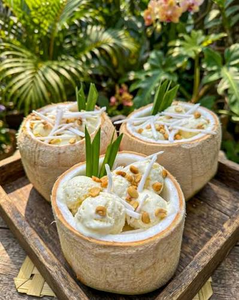 Noix de coco jeune déchiquetée surgelée IQF, la plus vendue, haute qualité, meilleur prix pour crème glacée, dessert, smoothie, export Vietnam - Product Image 6