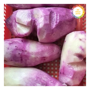 Vietnam Frozen Purple Yam Ube IQF Process Grade a 12-Month <b>Shelf</b> Life Export Supplier for Supermarkets & International Buyers - Product Image 5