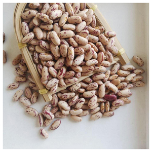 Frijoles Rojos Granulados Tipo Riñón Largos/Redondos de la Mejor Calidad, Frijoles de Azúcar de Color Rojo, Frijoles Riñón Granulados Claros - Product Image 6