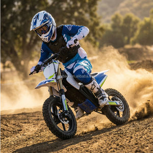 Mini Pit Bike Électrique Tout-Terrain en Acier de Haute Qualité, Moteur Brushless 60V 800W, Suspension Avant/Arrière, Vitesse Maximale 40-60km/h - Product Image 2