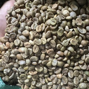 Café Robusta de haute qualité, best-seller, grain de café de calibre 16, faible teneur en humidité, matière première pour torréfaction, nouvelle récolte, ferme du Dak Lak, Vietnam - Product Image 4